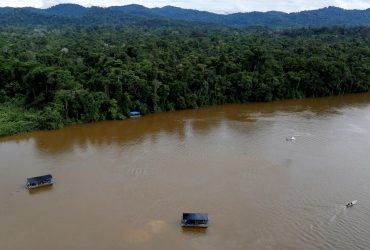 Леса Амазонки стали выделять больше углекислого газа, чем поглощать - исследование