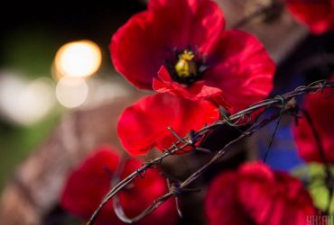 День памяти и примирения 2024: открытки и традиции в Украине