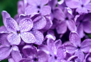 Во вторник Украину охватят мощные температурные контрасты (карта)