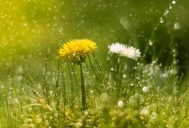 Тиждень в Україні почнеться з весняного тепла, дощів та гроз (карта)