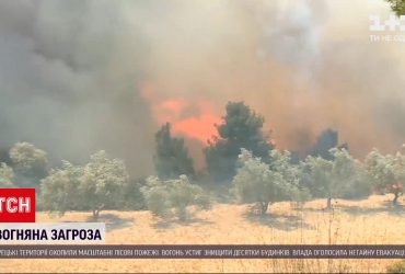 Грецію та Іспанію охопили потужні лісові пожежі