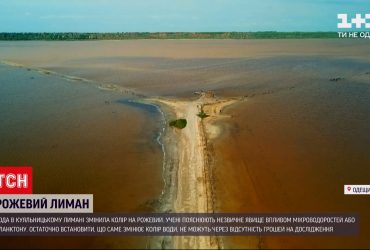 У Куяльницькому лимані Одеської області вода змінила колір на рожевий