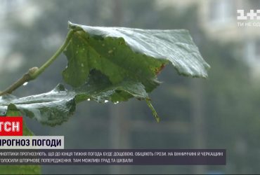 Синоптики прогнозують дощі та грози у всіх регіонах