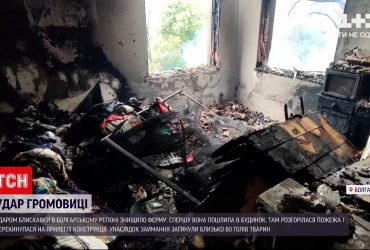 Блискавка знищила цілу ферму в Болгарії