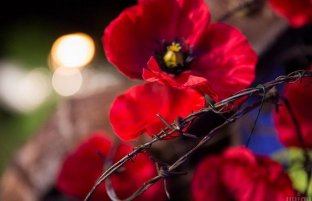 День пам'яті та примирення 2024: листівки та традиції в Україні