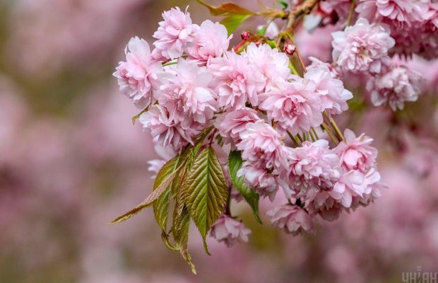 29 апреля: какой сегодня народный праздник и что нельзя делать, приметы погоды