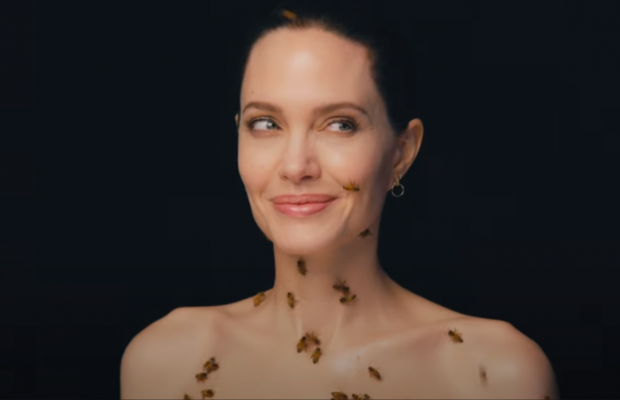 18 минут с роем пчел: Анджелина Джоли снялась в опасной фотосессии (видео)