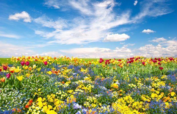 Весеннее равноденствие 2022: главные традиции праздника, что можно и нельзя делать