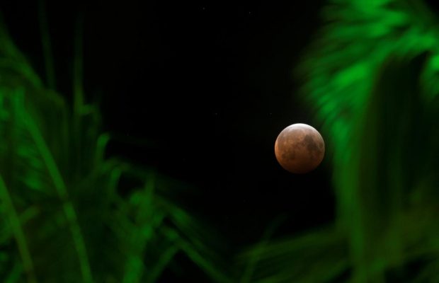 Супермісяць із затемненням: опубліковано вражаючі кадри рідкісного явища (фоторепортаж)