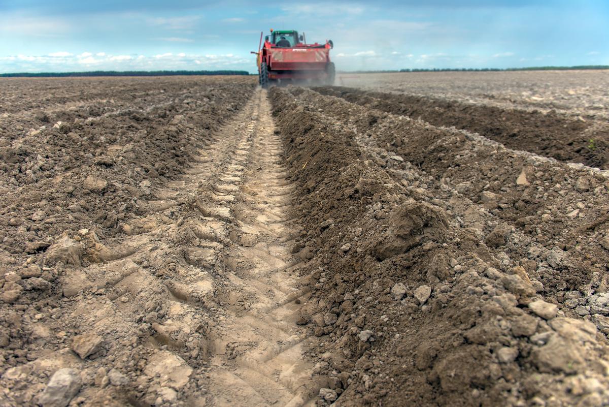 В Україні може бути нестача робочих рук для польових робіт через мобілізацію чоловіків / фото ua.depositphotos.com В Україні може бути нестача робочих рук для польових робіт через мобілізацію чоловіків / фото ua.depositphotos.com