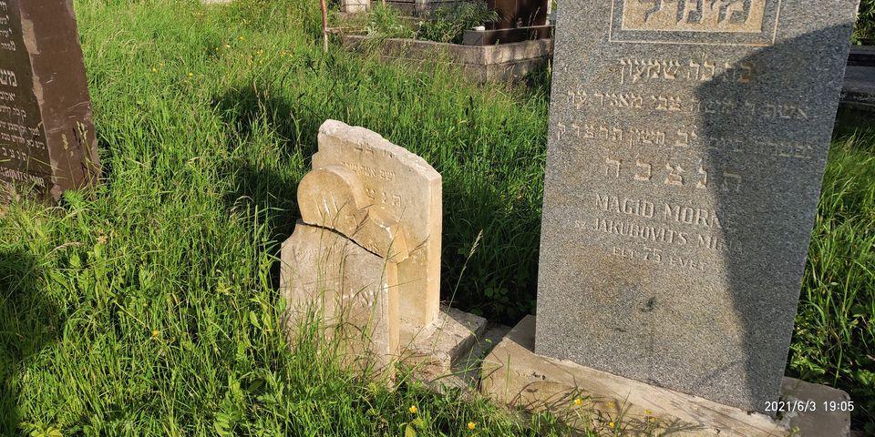 Вандалы разрушили надгробия на еврейском кладбище Ужгорода (фото) Вандалы разрушили надгробия на еврейском кладбище Ужгорода (фото)