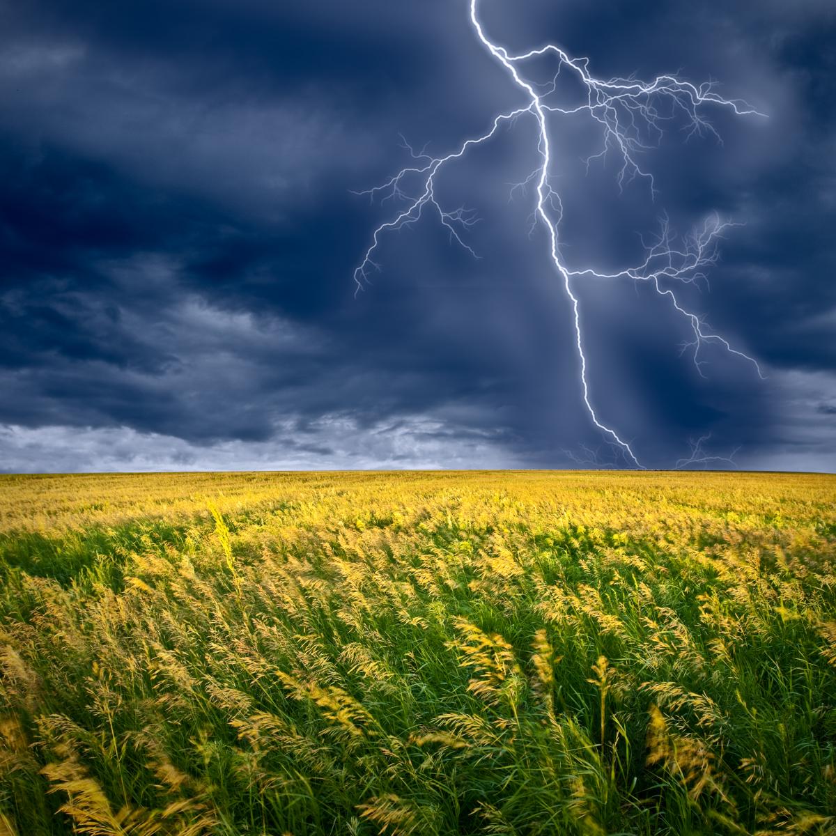 July 30 Folk Traditions Customs Signs Of The Weather And July 30 Folk Traditions Customs Signs Of The Weather And