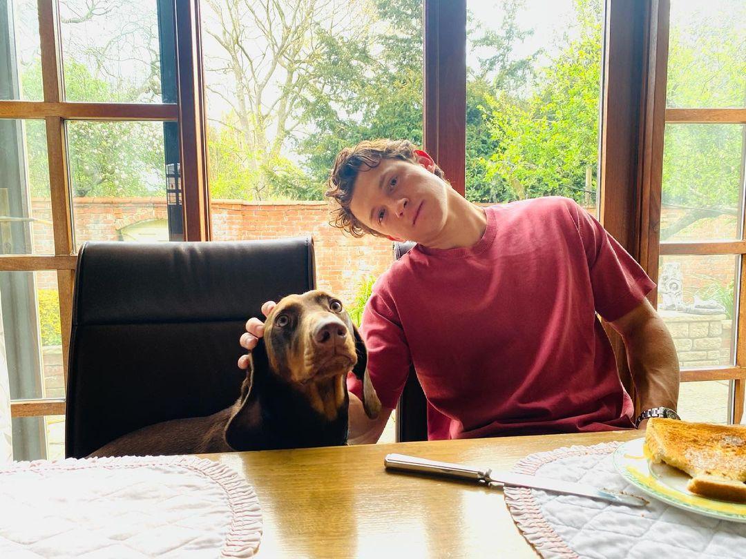 Том Холланд / instagram.com/tomholland2013 Том Холланд / instagram.com/tomholland2013
