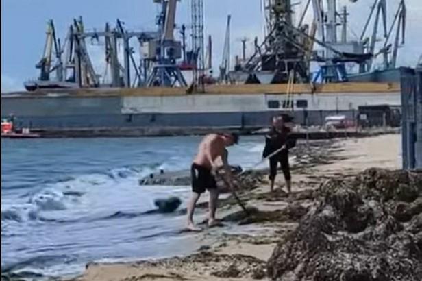 На видео видно, что на берег выбросило очень много водорослей. Коммунальщики вилами собирали их и забрасывали с суши в море / скрин видео На видео видно, что на берег выбросило очень много водорослей. Коммунальщики вилами собирали их и забрасывали с суши в море / скрин видео