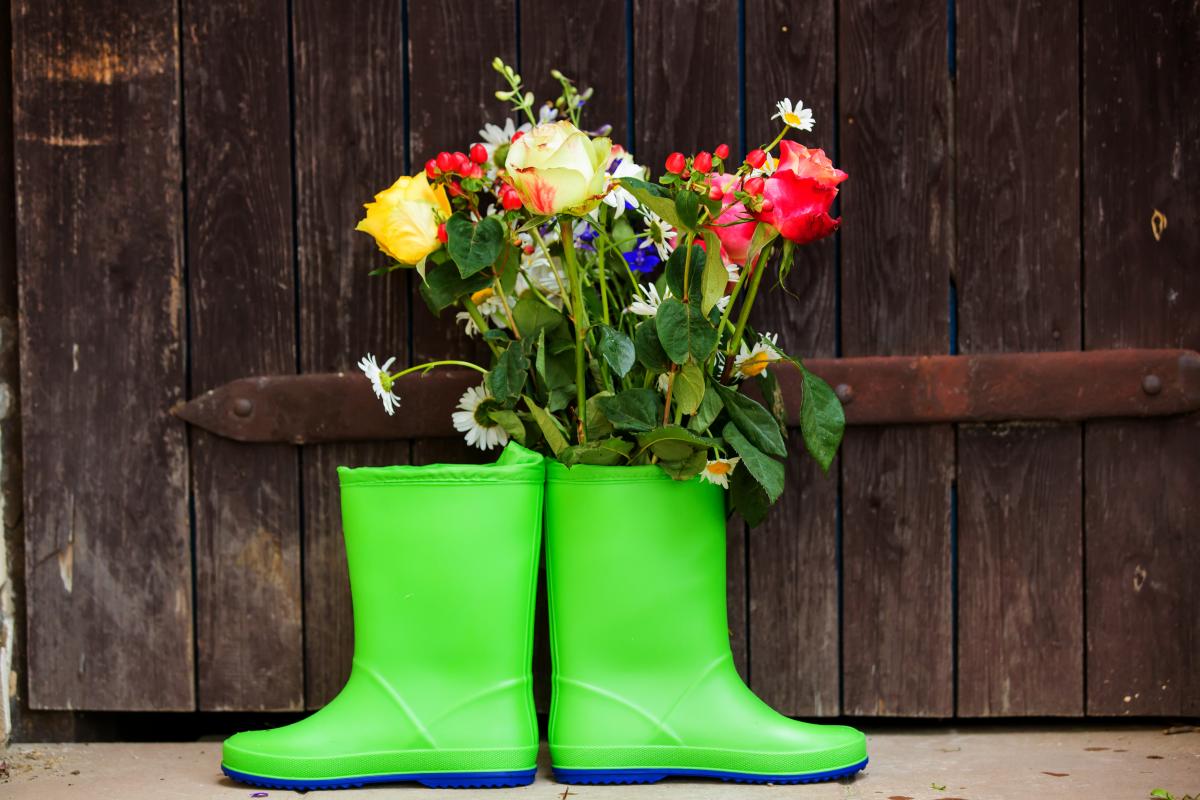 12 агуста в Україні практично не залишиться дощів / фото ua.depositphotos.com 12 агуста в Україні практично не залишиться дощів / фото ua.depositphotos.com