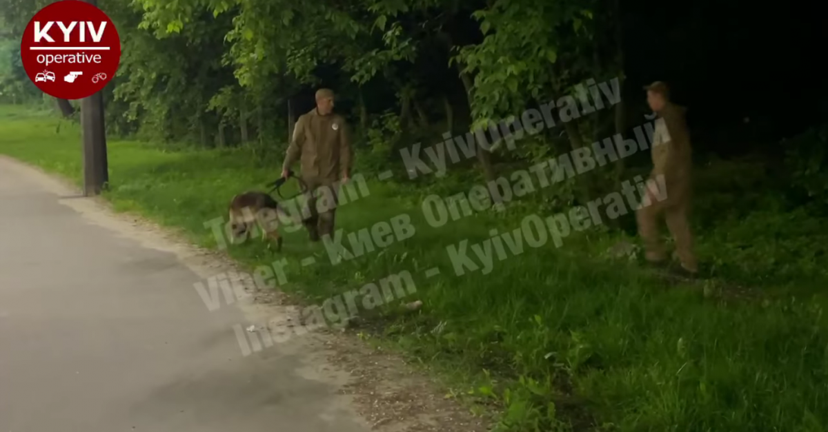 Тіло виявили біля АЗС / скріншот Тіло виявили біля АЗС / скріншот