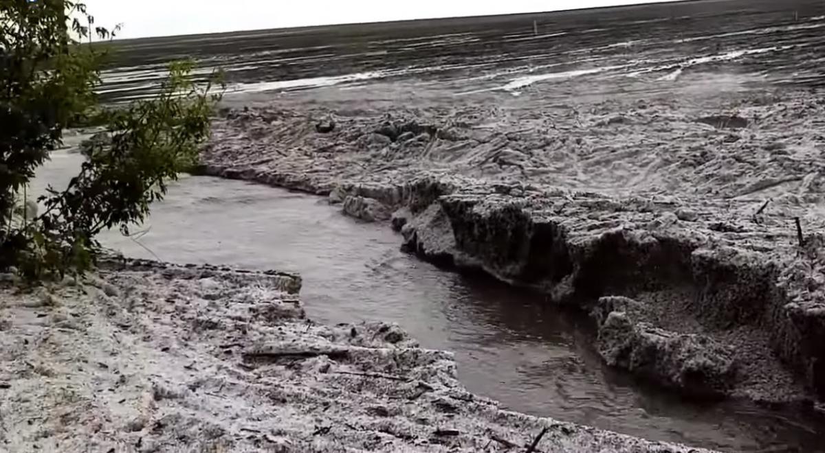 скріншот відео