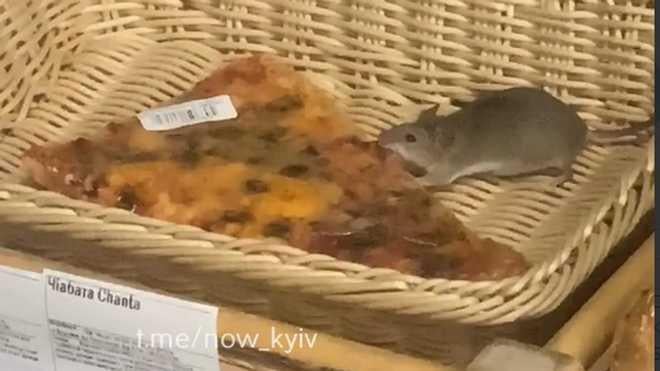 Свидетели инцидента утверждают, что видели крысу в "Форе" на Троещине / скрин видео Свидетели инцидента утверждают, что видели крысу в "Форе" на Троещине / скрин видео