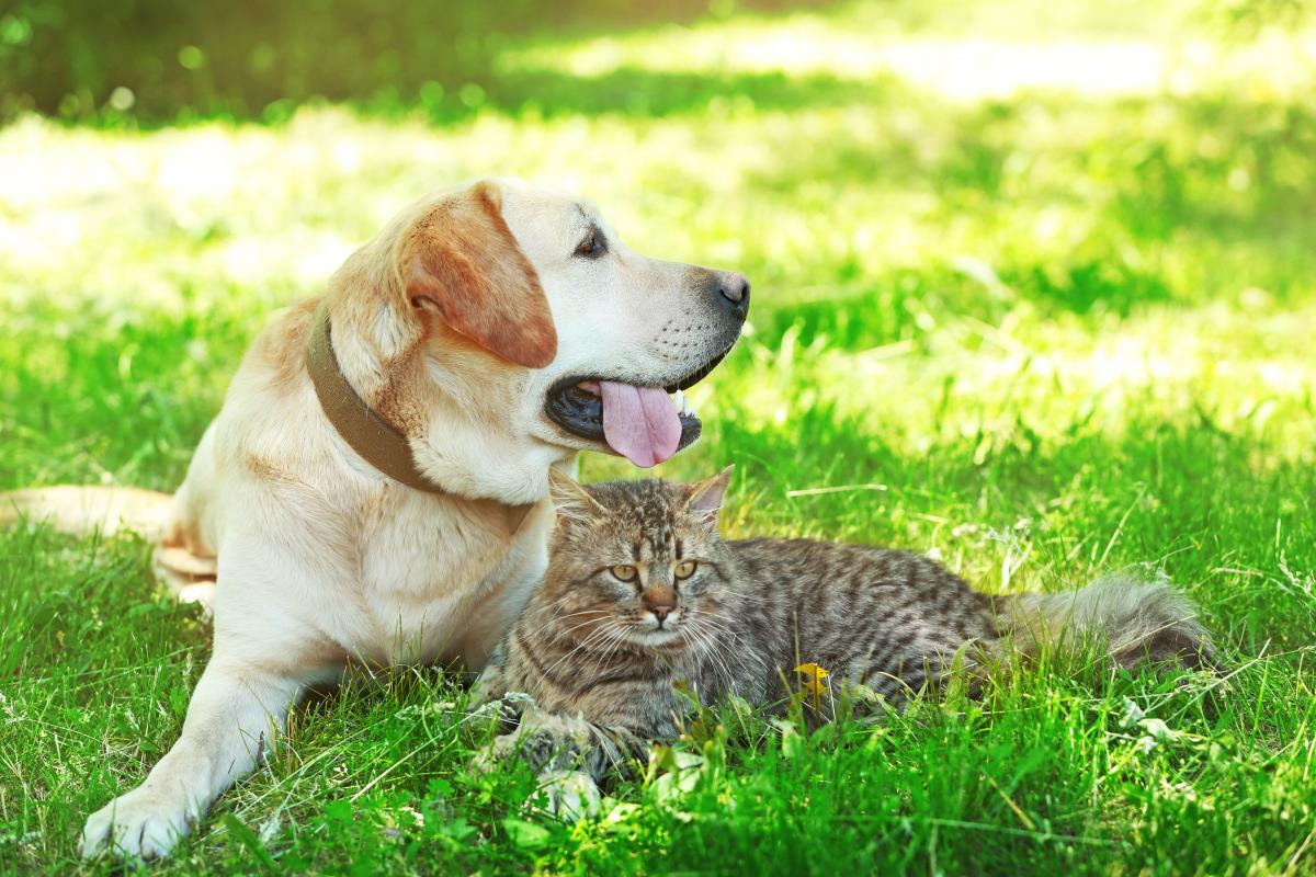 В Украине будет становиться все жарче / фото ua.depositphotos.com