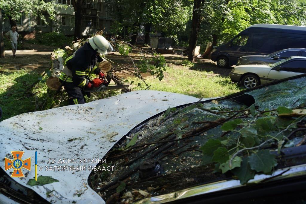 Спасатели оперативно ликвидировали последствия непогоды / фото ГСЧС Спасатели оперативно ликвидировали последствия непогоды / фото ГСЧС