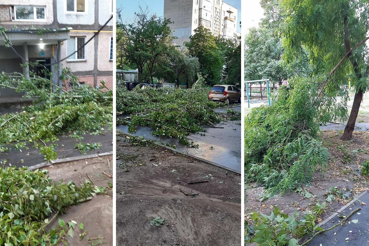 По Николаеву пронесся ураган / фото Наталья Горбенко По Николаеву пронесся ураган / фото Наталья Горбенко