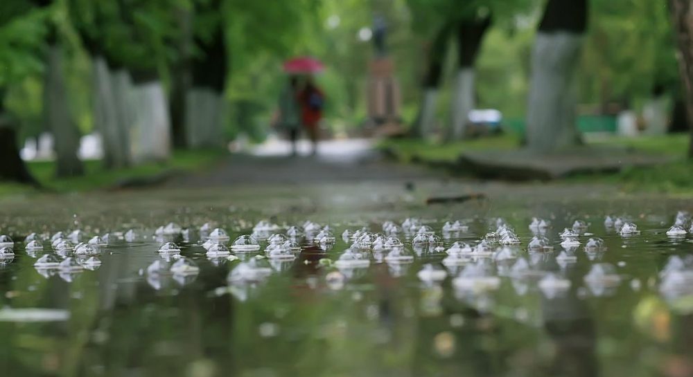 On August 18, the rains will move deeper into Ukraine and bring a cold snap with them (map)