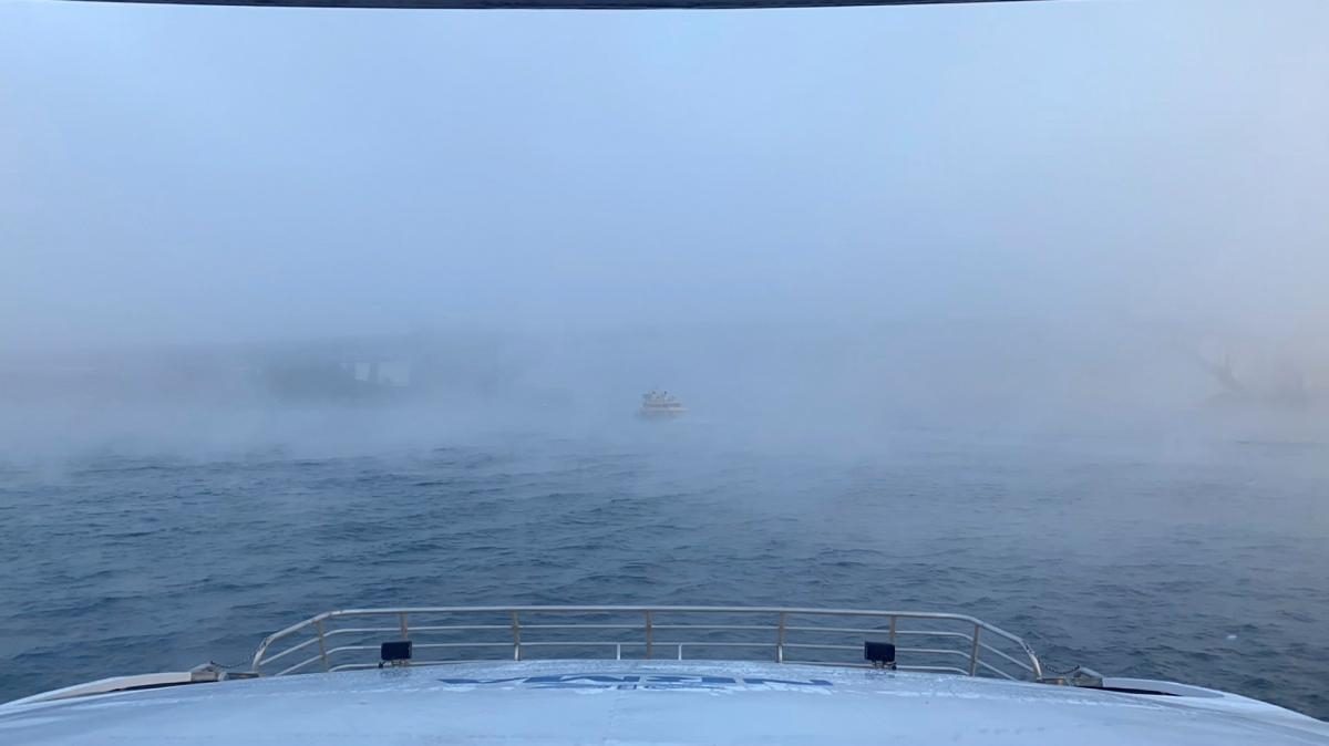 Pictures Fog in Sydney 11 June 2021