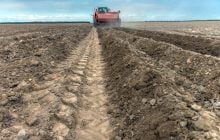 Петиция Всеукраинской аграрной рады против продажи больших массивов с/х земель набрала необходимые 25 000 голосов