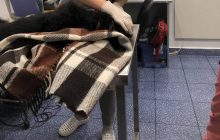 В Киеве пьяный хозяин выбросил собаку из окна четвертого этажа - соцсети