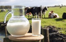 Ціни на молочні продукти в Україні ростуть: експерт пояснив причини