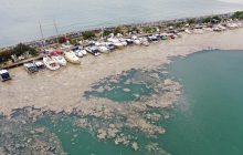 Мраморное море покрылось "слизью" вдоль побережья Турции: под угрозой Черное море (фото)