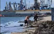 В Бердянске коммунальщики очищали пляж от водорослей, выбрасывая их обратно в море (видео)