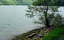 На Закарпатье активисты очистили берег водохранилища от тонн мусора (видео)