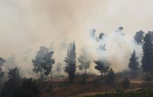 Біля Єрусалима розгорілися пожежі, людей евакуюють (фоторепортаж, відео)