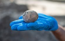 Израильские археологи нашли тысячелетнее куриное яйцо (фото)