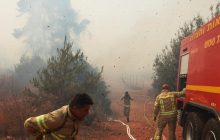 В Израиле вспыхнули лесные пожары, началась эвакуация (фоторепортаж, видео)