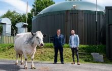 Британец майнит криптовалюту на энергии из коровьего навоза
