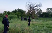 Пропавшую 2-летнюю девочку в Николаевской области нашли живой и невредимой (фото)