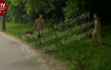 В Киеве в кустах возле АЗС обнаружили обнаженное женское тело: очевидец раскрыл жуткие детали (видео)