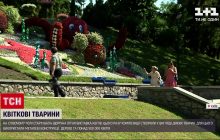 В Киеве на Певческом поле открылась ежегодная выставка цветов (видео)