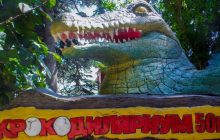 У Ялті затопило крокодиляріум, деякі тварини опинилися на волі (відео)