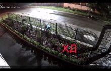 На Дніпропетровщині жінка перехрестилася і пограбувала церкву (відео)