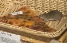 В Киеве маленькая крыса лакомилась пиццей на глазах у посетителей супермаркета (видео)