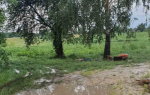 Ховалися під деревом від грози: на Черкащині блискавка вбила двох людей (фото)