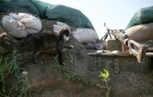 На Донбассе ранен украинский военный