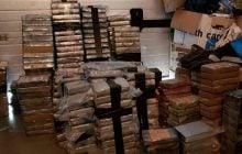 На ферме под Амстердамом изъяли три тонны кокаина и 11 миллионов евро наличных