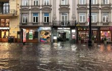 Львів накрила потужна буря: дерева впали на школи, побиті машини та історичні будівлі (фото, відео)