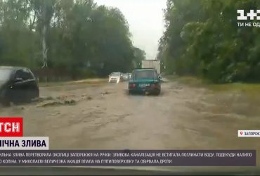 В Миколаєві сильна злива повалила величезну акацію просто на п'ятиповерхівку