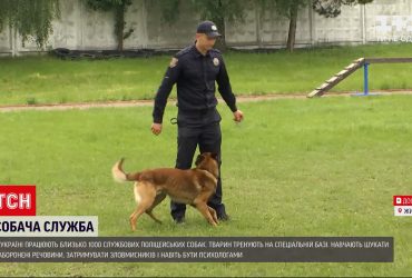 Как тренируют полицейских псов