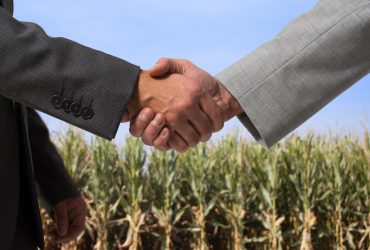 Ринку землі в Україні один рік: на яку суму українці продали земель за цей період